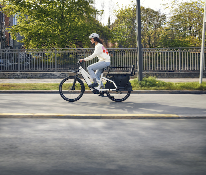 Riese & Müller - Multicharger Mixte GT Family - immagine 2